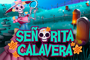 Bingo Señorita Calavera