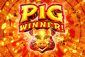 Pig Winner