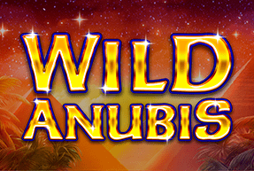 Wild Anubis