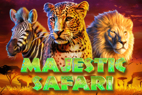 Majestic Safari