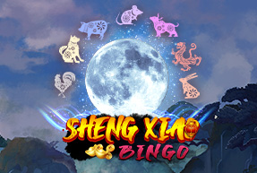 Sheng Xiao Bingo