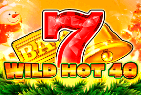 Wild Hot 40 Christmas