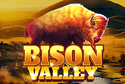 Bison Valley