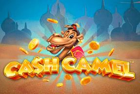 Cash Camel