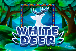 White Deer