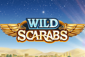 Wild Scarabs