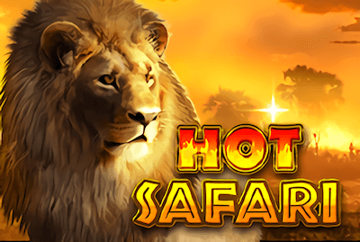 Hot Safari