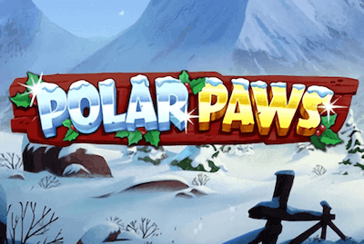 Polar Paws