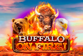 Buffalo on Fire