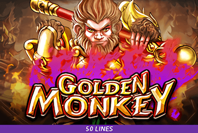 Golden Monkey